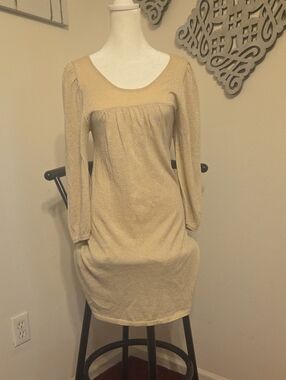 Sparkle Long-Sleeve Scoop Neck Dress in Champagne